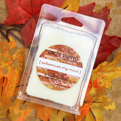 AUTUMN ON MY MIND | Fall Inspired 🍂 | Soy Wax Melts